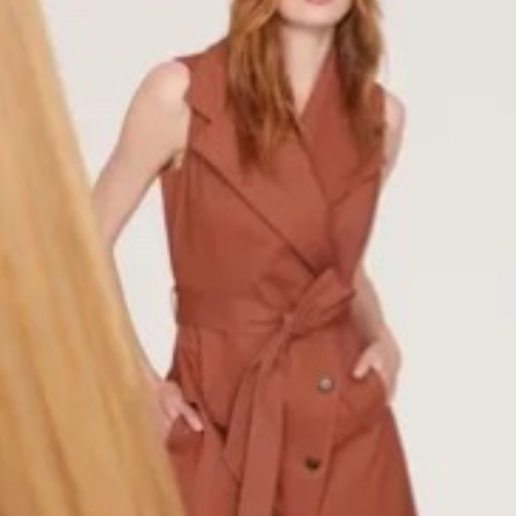 COPY - Toccin X RTR Brown Trench Wrap Dress sz. 12 $425 Flaw/Stains - Picture 4 of 8